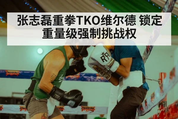 张志磊重拳TKO维尔德 锁定重量级强制挑战权